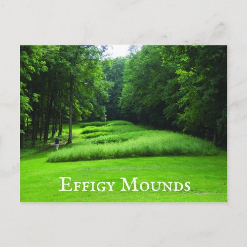 Marching Bear Mounds Group Effigy Mounds Iowa Postcard