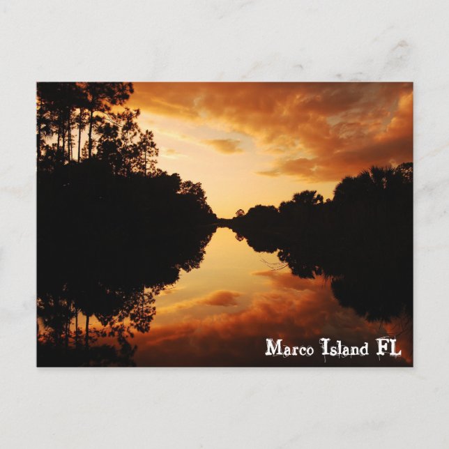 Marco Island FL Postcard (Front)