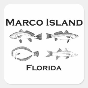 Marco Island Saltwater Fish Square Sticker