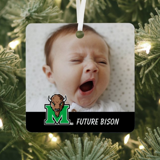 Marco The Bison M Metal Ornament (Insitu)