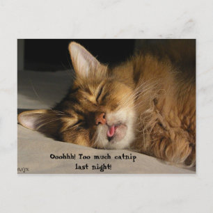 Marcus Has A Hangover Postcard