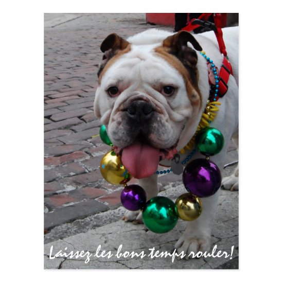 Mardi Gras Bulldog Postcard