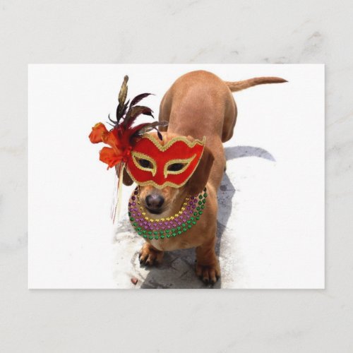 Mardi Gras Dachshund Dog postcard