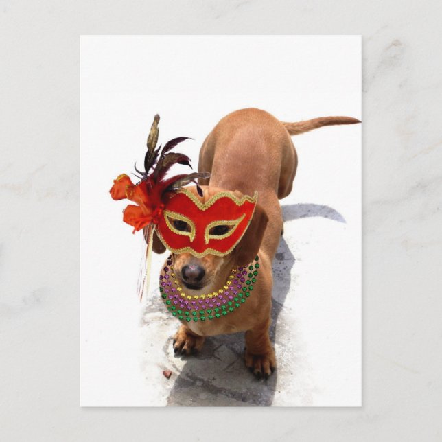 Mardi Gras Dachsund dog Postcard (Front)
