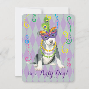 Mardi Gras Pit Bull Terrier Invitation