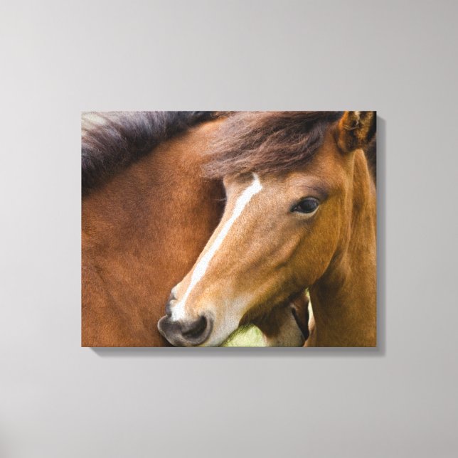 Mare And Colt Canvas Print (Front)