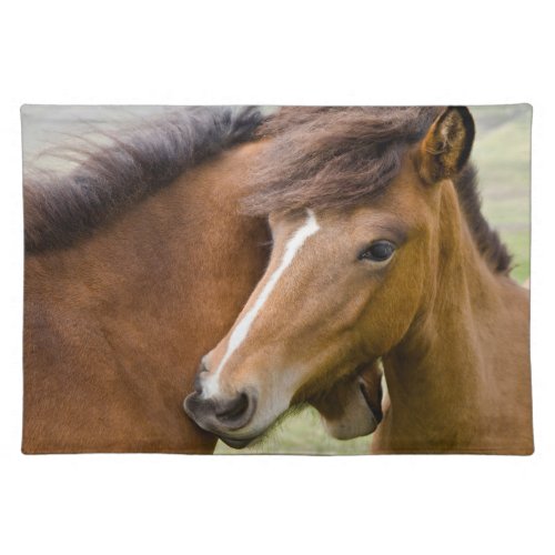 Mare And Colt Cloth Placemat