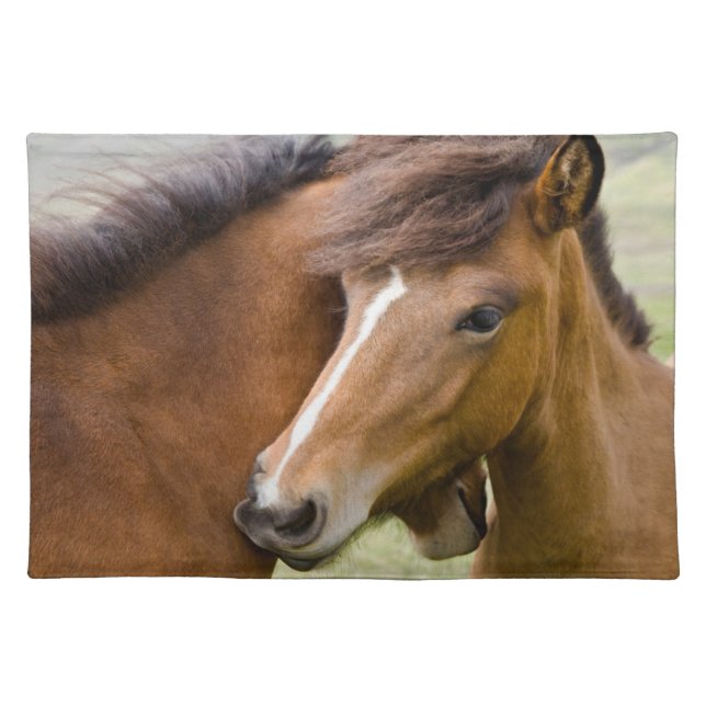 Mare And Colt Cloth Placemat (Front)