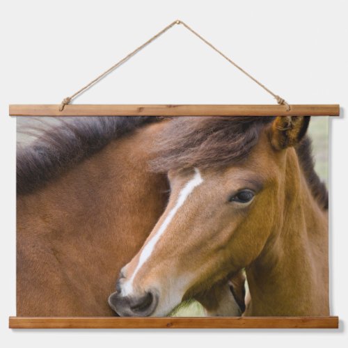 Mare And Colt Hanging Tapestry