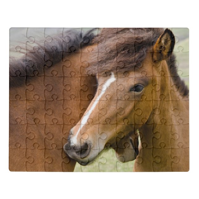 Mare And Colt Jigsaw Puzzle (Puzzle Horizontal)