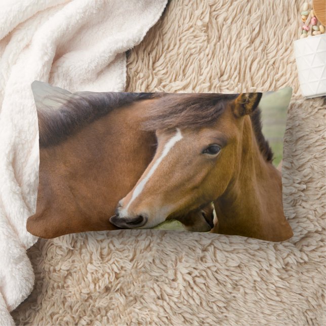 Mare And Colt Lumbar Pillow (Blanket)