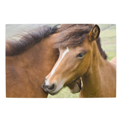Mare And Colt Metal Print