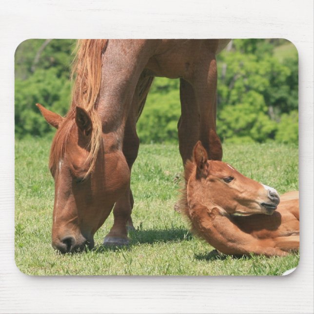 Mare and Colt Mouse Pad (Front)