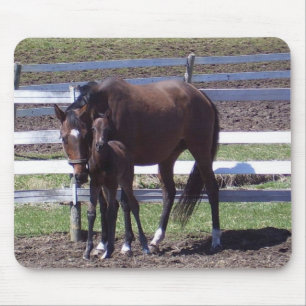 Mare and colt mouse pad