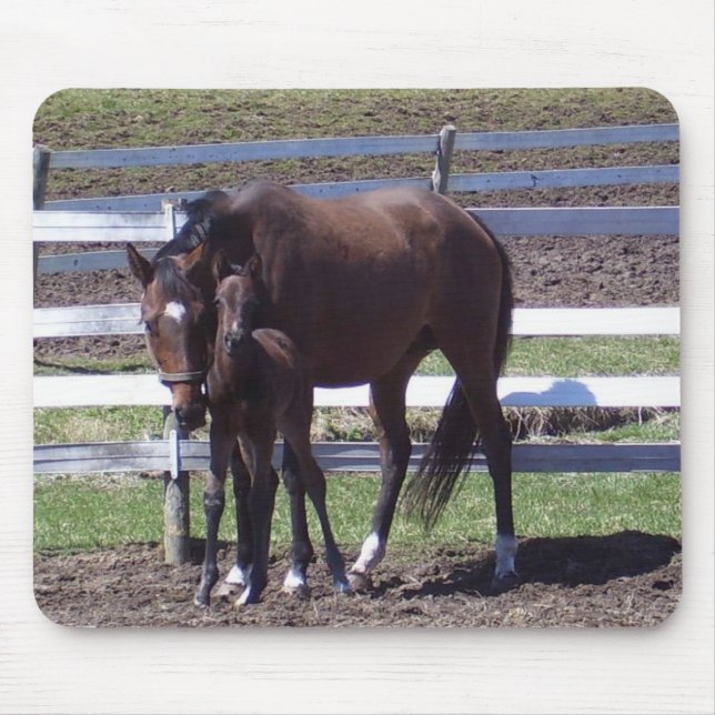 Mare and colt mouse pad (Front)