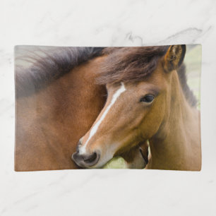 Mare And Colt Trinket Tray