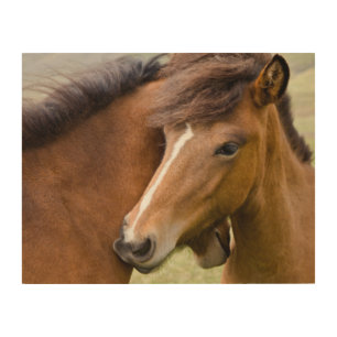 Mare And Colt Wood Wall Art