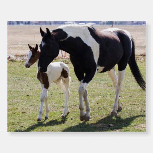 Mare and Filly Walking Foam Board