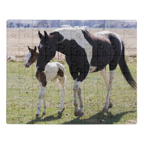 Mare and Filly Walking Jigsaw Puzzle