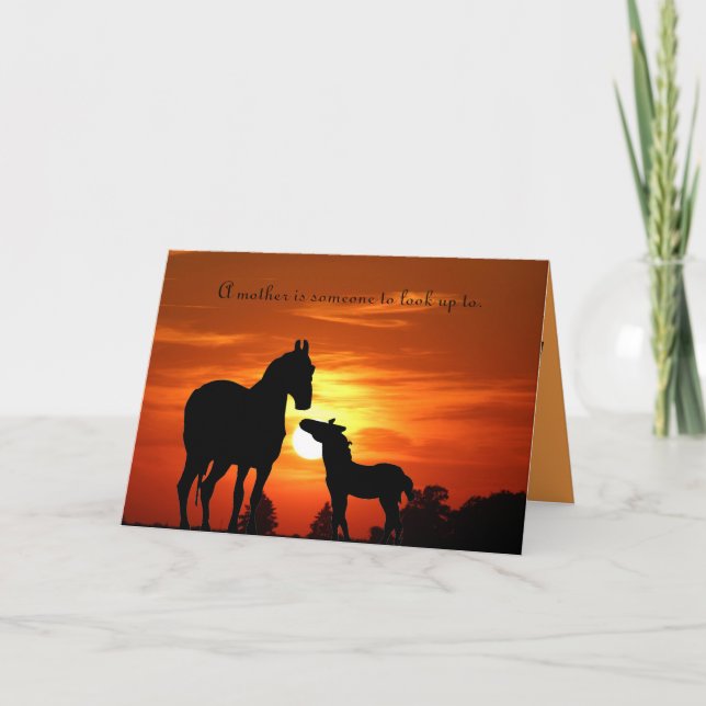 Mare and foal "A mother is someone to look up to." Card (Front)