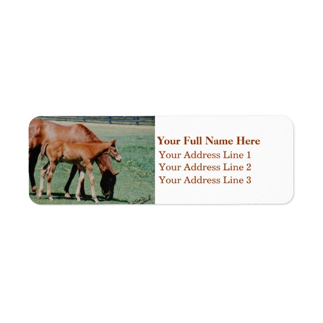 Mare and Foal Address Label (Front)