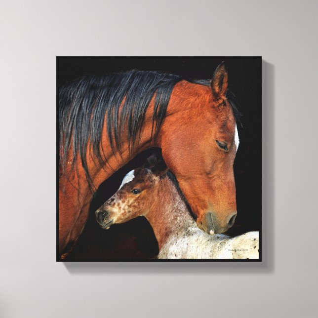 Mare And Foal Canvas Wrap Print (Front)