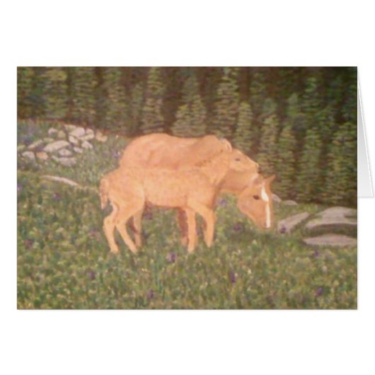 Mare and Foal Cards (Front Horizontal)