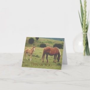 Mare and Foal Grazing on Hillside Horse Thank You Card