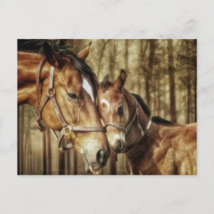 Mare and Foal - Horse Lovers Art Postcard