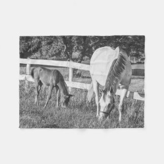 Mare and Foal Horses Animals Black and White Fleece Blanket