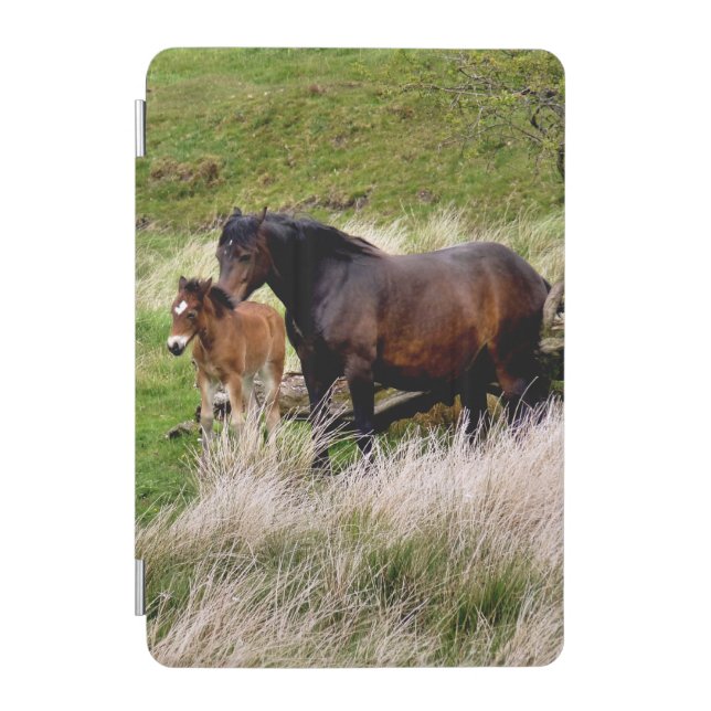 MARE AND FOAL iPad MINI COVER (Front)