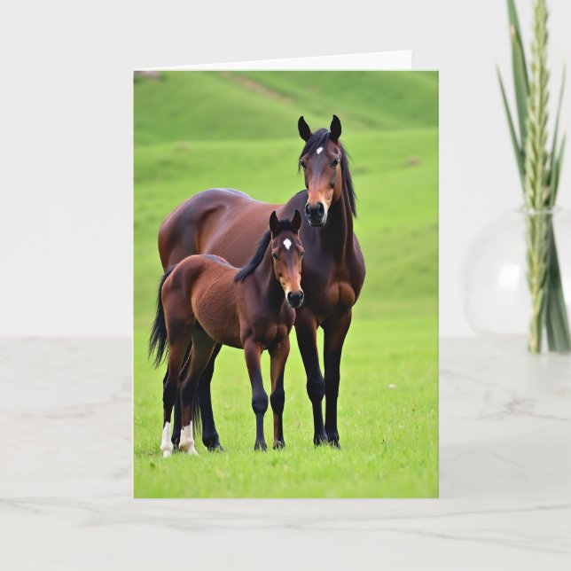 Mare And Foal Mothers Day Card (Front)