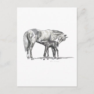 Mare and Foal Postcard