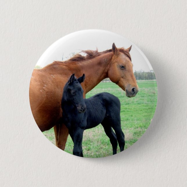 Mare and Her Colt Pinback Button (Front)