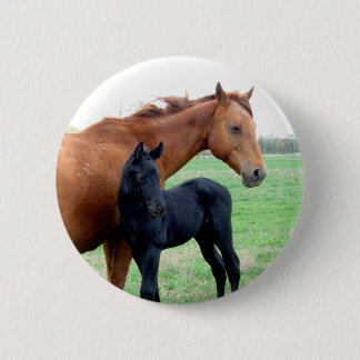 Mare and Her Colt Pinback Button