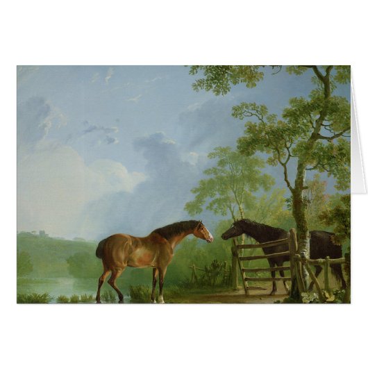 Mare and Stallion in a Landscape Cards (Front Horizontal)