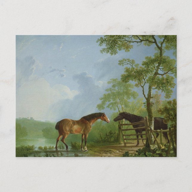 Mare and Stallion in a Landscape Postcard (Front)