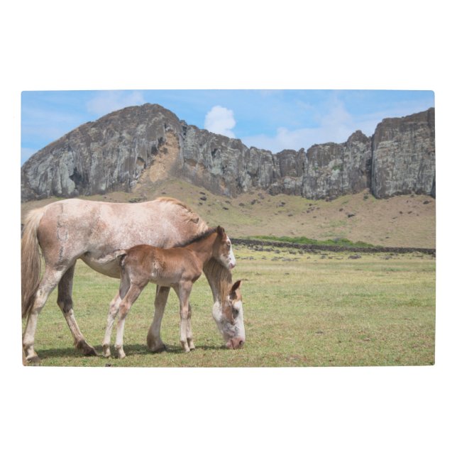 Mare & Colt at Volcanic Crater of Rano Raraku Metal Print (Front)