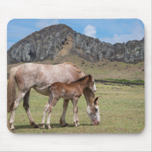 Mare & Colt at Volcanic Crater of Rano Raraku Mouse Pad