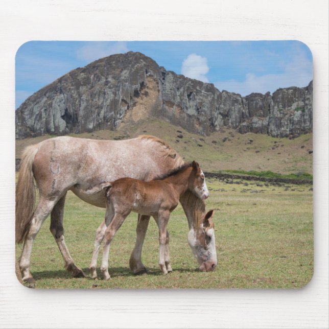 Mare & Colt at Volcanic Crater of Rano Raraku Mouse Pad (Front)