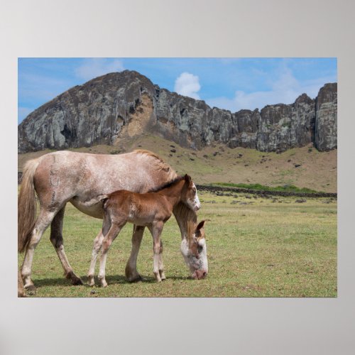 Mare  Colt at Volcanic Crater of Rano Raraku Poster