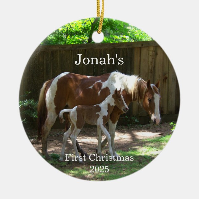 Mare & Foal Baby's First Christmas Ornament (Front)