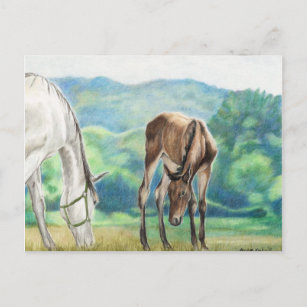 Horse   Postcard  ***    Postkarte  # 108 Pferd 