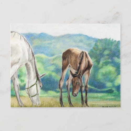 Mare  Foal Original Art Post Card