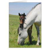 Mare Grazing with Colt (Front)