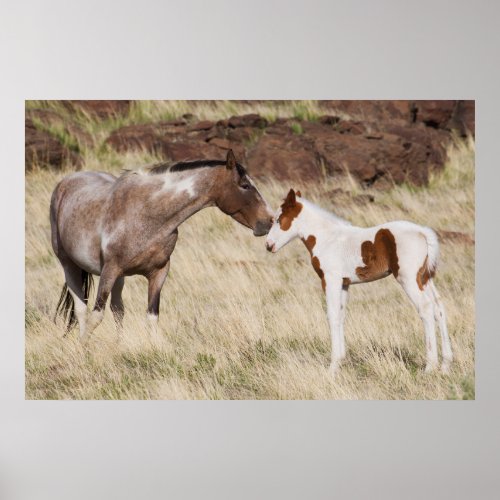 Mare with Colt Poster