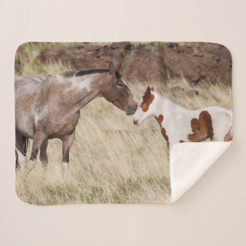 Mare with Colt Sherpa Blanket