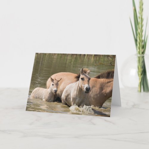 Mare with Foal Crossing a River Card