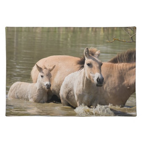 Mare with Foal Crossing a River Cloth Placemat