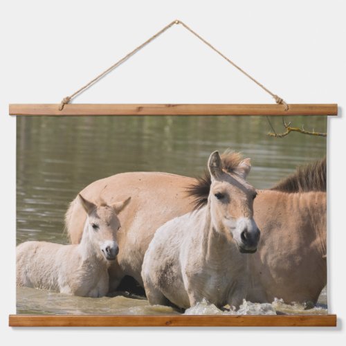 Mare with Foal Crossing a River Hanging Tapestry